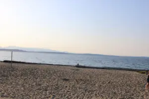 198ce5acad953e73428b3f5a60876511426c7cf0