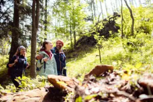 8f8b21ac1c51eff25c3ca0b15d7c0c71d875ef19